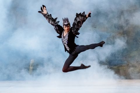 Schwanensee / Fotorechte: National Ballett Moldavien, Chisinau
