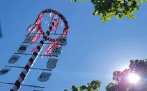 Schwelmer Maibaum
