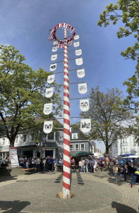 Maibaum 2025