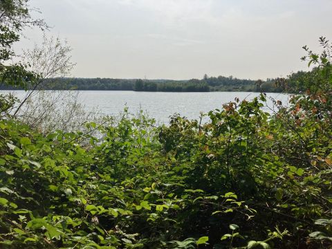 Blick auf den Silbersee (Angelika Genieser)