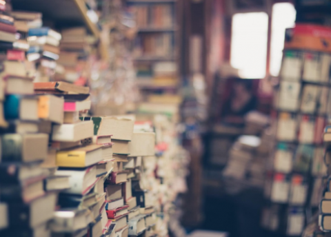 Symbolfoto zum Herbst-Bücherflohmarkt in der Stadtbibliothek (Quelle: https://pixabay.com/EliDigitalCreative)