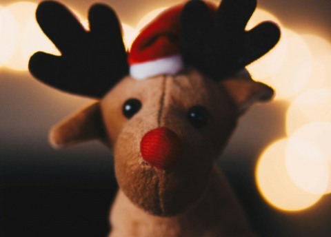 Symbolfoto zur Vorlesestunde in der Stadtbibliothek (Quelle: https://www.pexels.com/kpaukshtite)