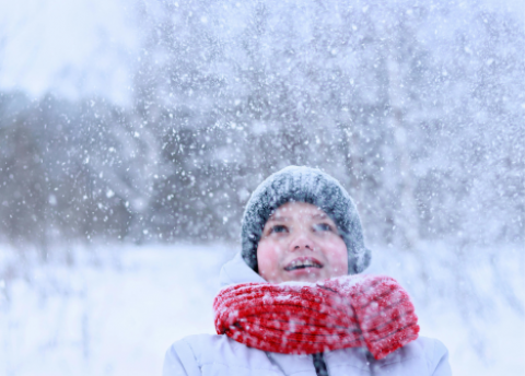 Plakat_20260115_Vorlesestunde (Quelle: www.pexels.com/2557985)