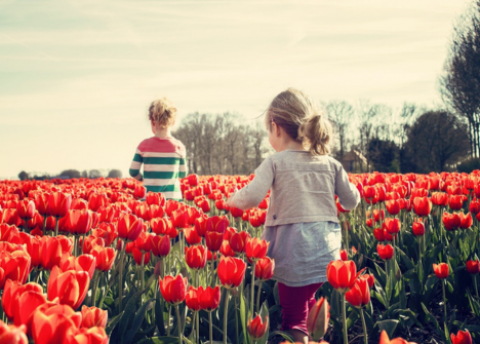 Symbolfoto zur Vorlesestunde in der Stadtbibliothek (Quelle: https://www.pixabay.com/Ben Scherjon)