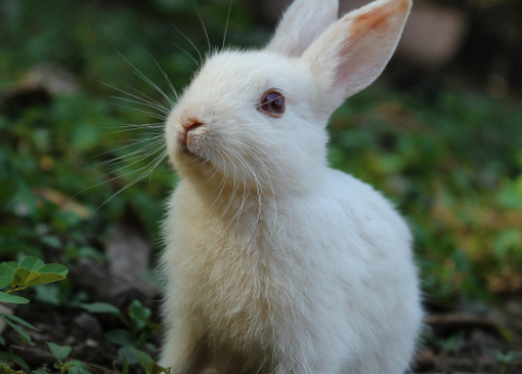 Symbolfoto zur Vorlesestunde in der Stadtbibliothek (Quelle: https://www.pexels.com/smpicturez)