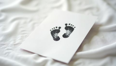 © Marina - stock.adobe.com