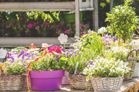 © karepa - adobestock.com