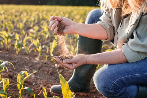 © encierro – stock.adobe.com